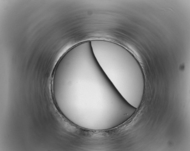 X0000091310899200708101106