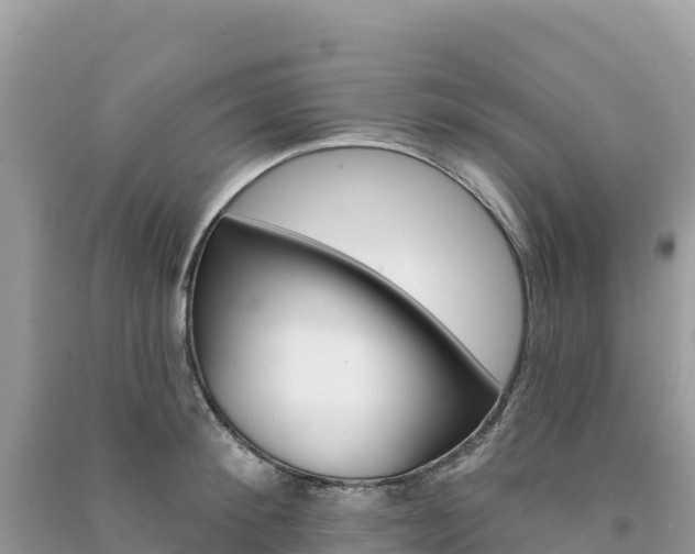 X0000091310900200708101106