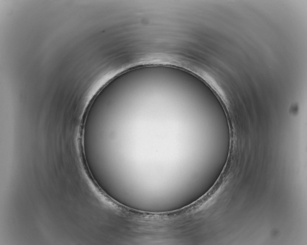 X0000091310901200708101106