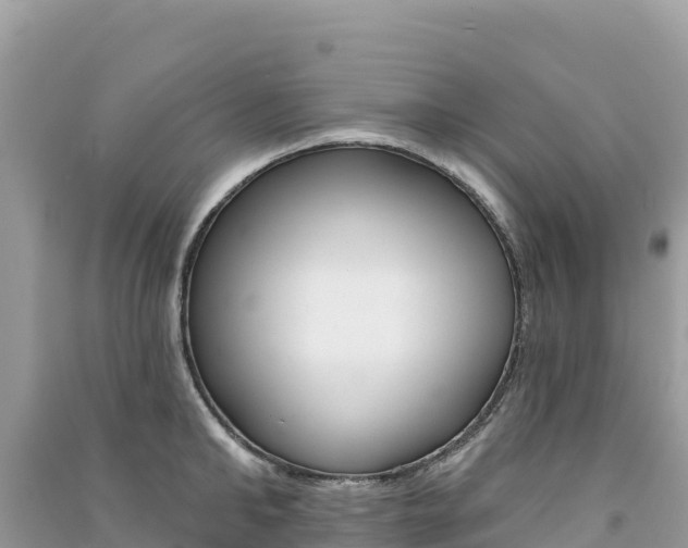 X0000091310902200708101106