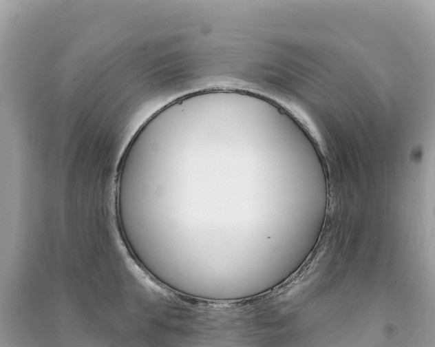 X0000091310903200708101106