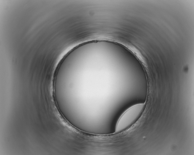X0000091310904200708101106