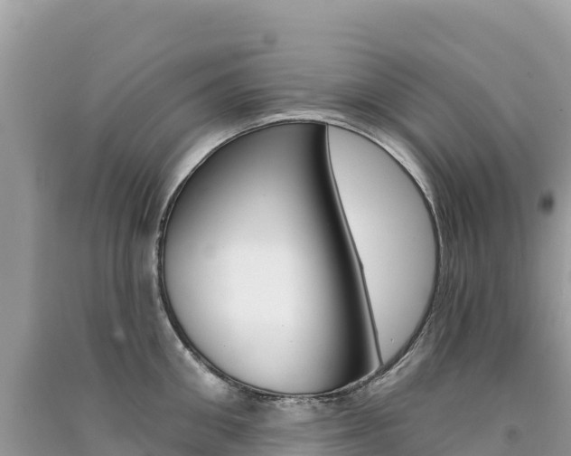 X0000091310906200708101106