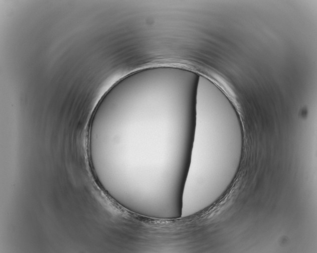 X0000091310907200708101106