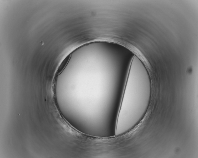 X0000091310908200708101106