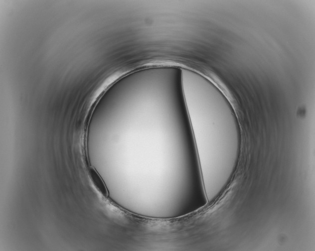 X0000091310909200708101106