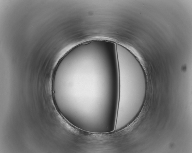 X0000091310910200708101106