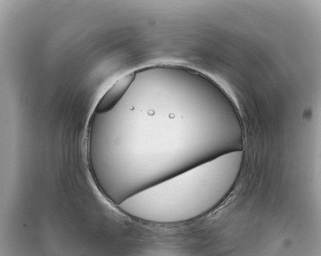 X0000091310911200708101106