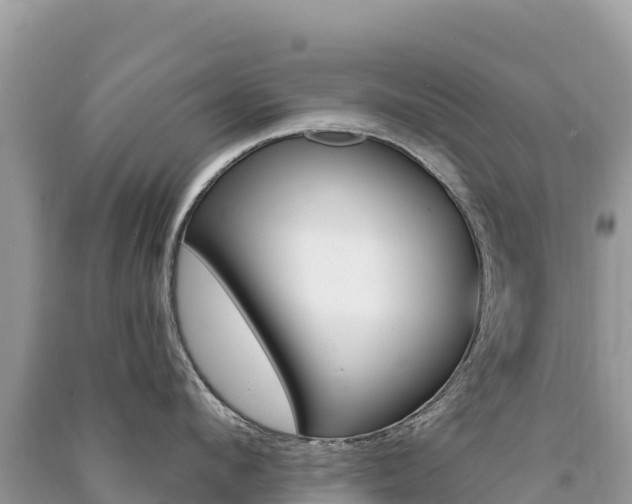 X0000091310912200708101106