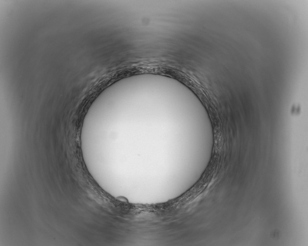X0000091310913200708101105