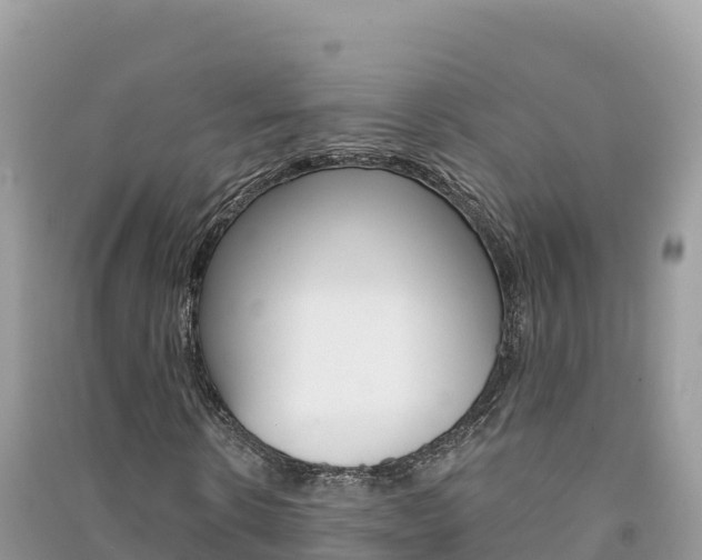 X0000091310914200708101105