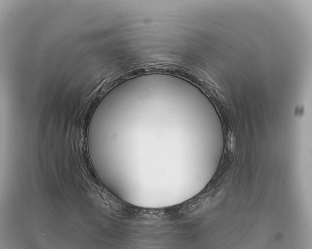 X0000091310915200708101105