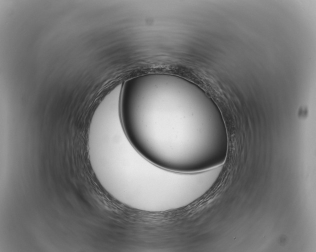 X0000091310916200708101105