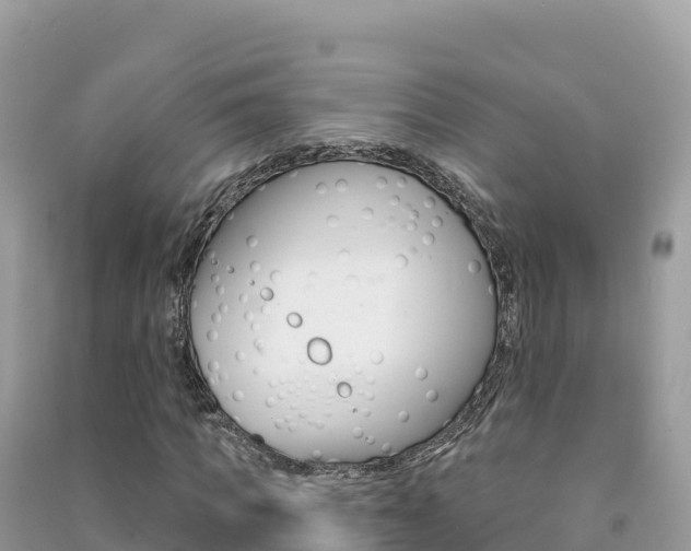 X0000091310917200708101105