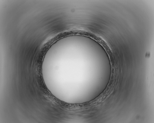 X0000091310919200708101105