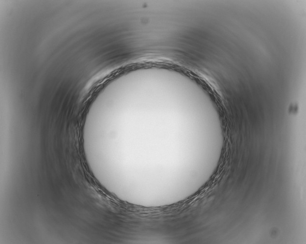 X0000091310920200708101105