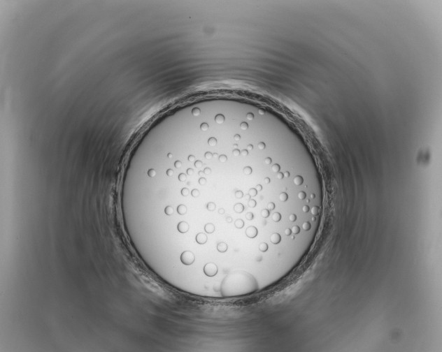 X0000091310921200708101105