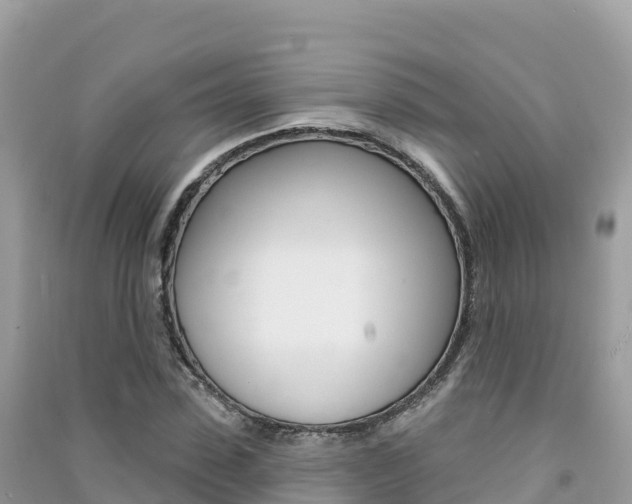 X0000091310923200708101105