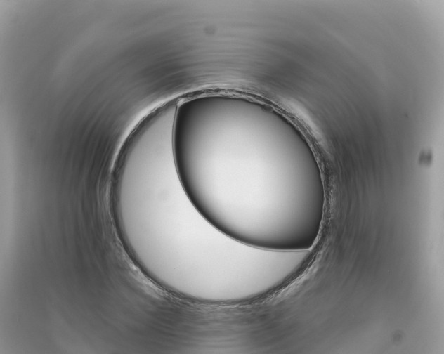 X0000091310924200708101105