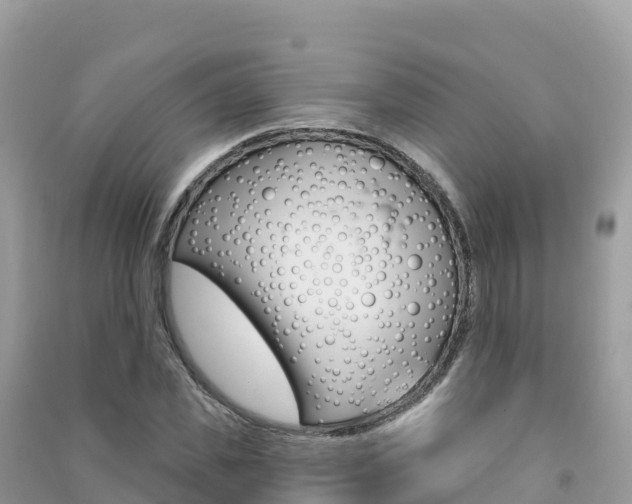 X0000091310925200708101105