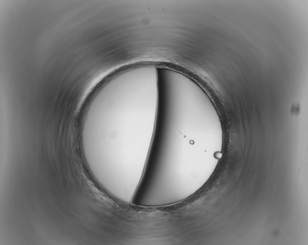 X0000091310926200708101105