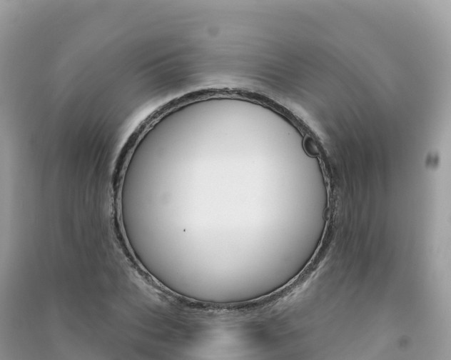 X0000091310927200708101105