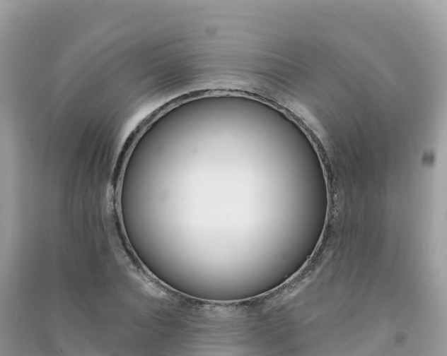 X0000091310928200708101105