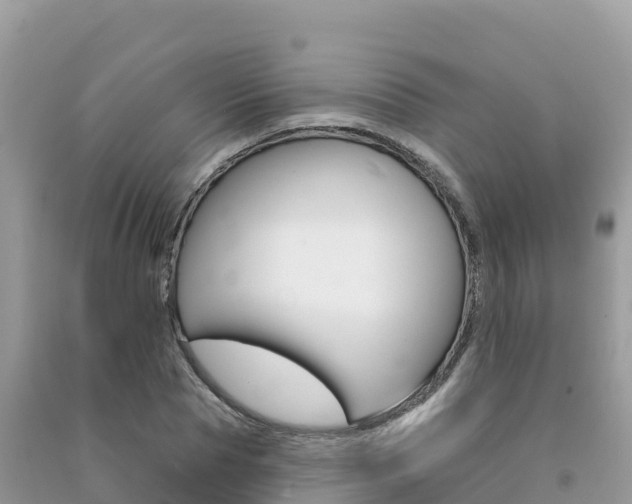 X0000091310929200708101105