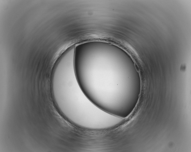 X0000091310930200708101105