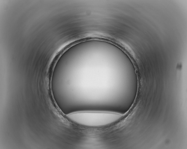 X0000091310931200708101105