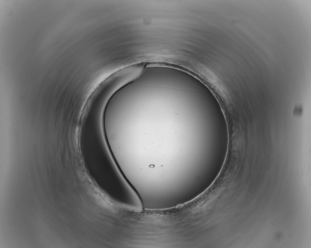 X0000091310932200708101105