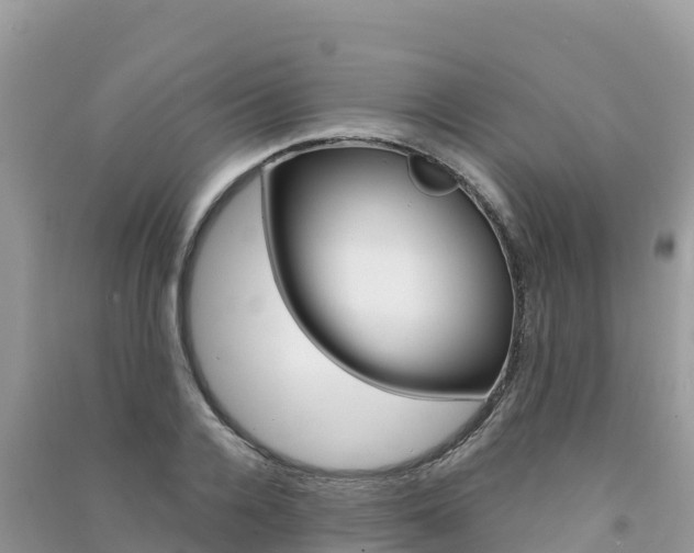 X0000091310936200708101105