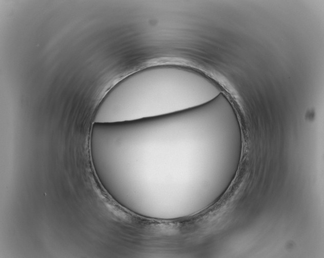 X0000091310937200708101106