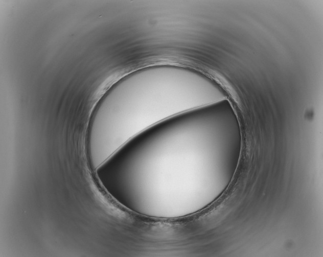 X0000091310938200708101106