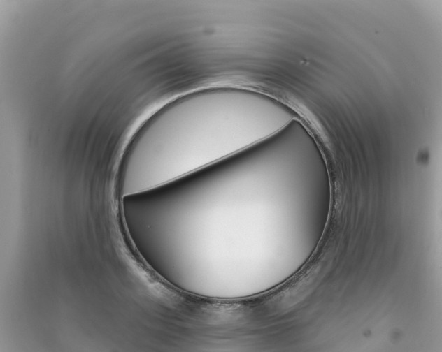 X0000091310939200708101106