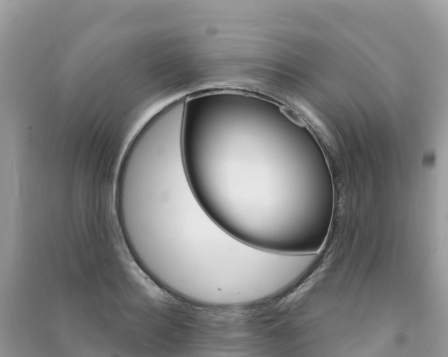 X0000091310940200708101106