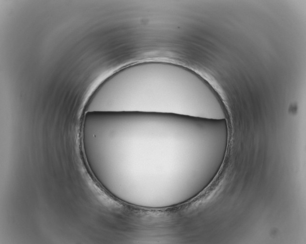 X0000091310941200708101106