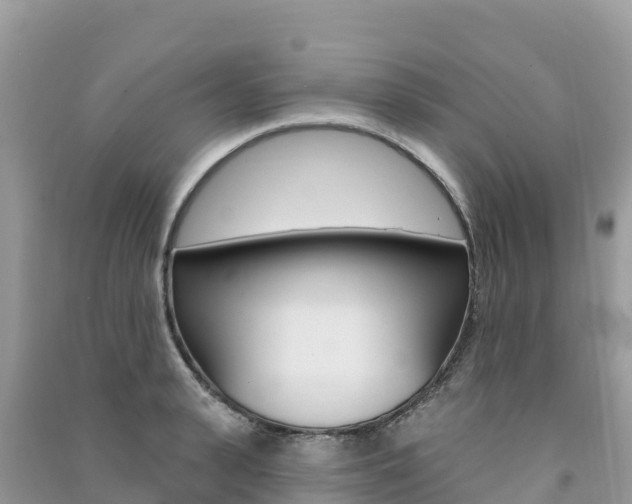 X0000091310943200708101106