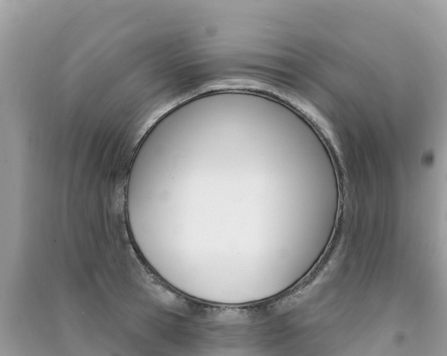 X0000091310945200708101106