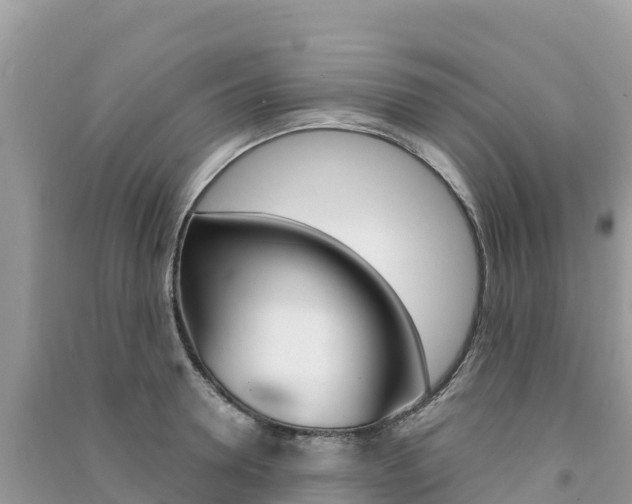 X0000091310946200708101106
