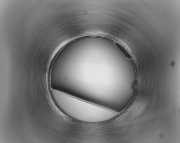 X0000091310947200708101106