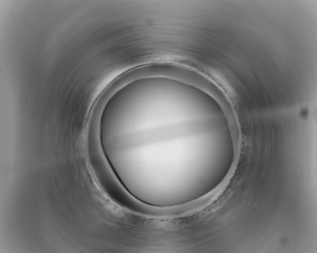 X0000091310948200708101106