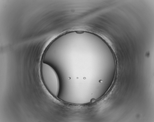 X0000091310949200708101106