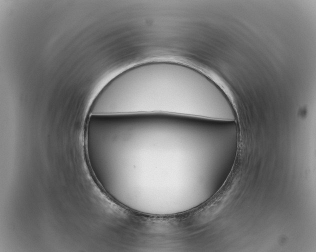 X0000091310951200708101106