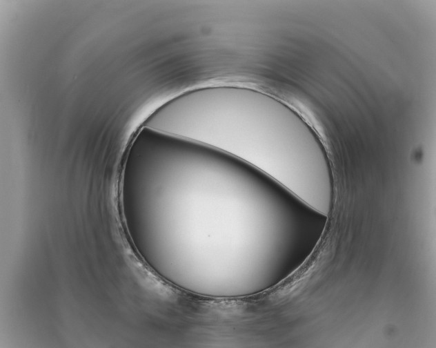 X0000091310952200708101106
