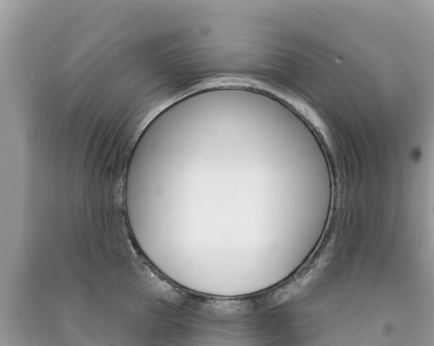 X0000091310953200708101106
