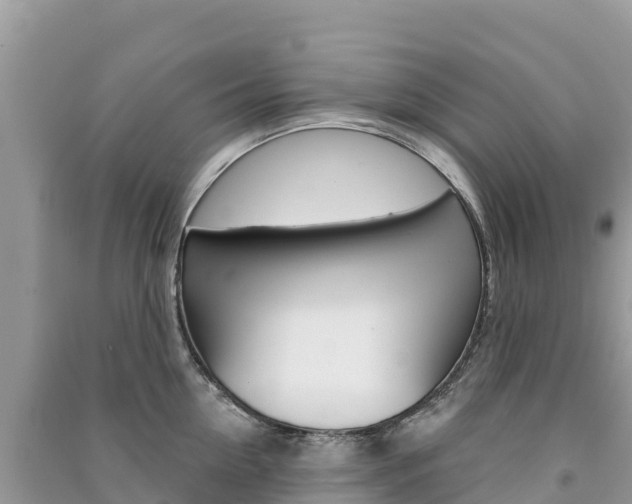 X0000091310954200708101106