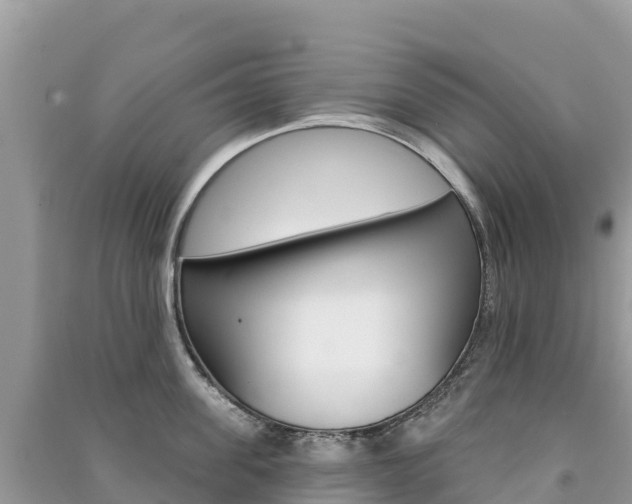 X0000091310955200708101106