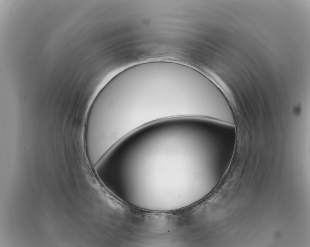 X0000091310956200708101106