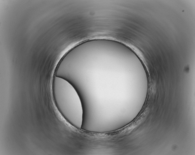 X0000091310957200708101106